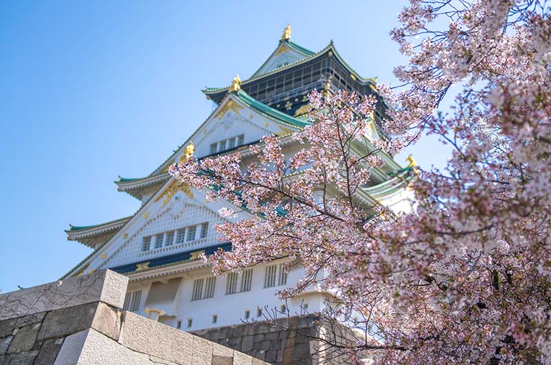 大阪城天守閣と桜の風景