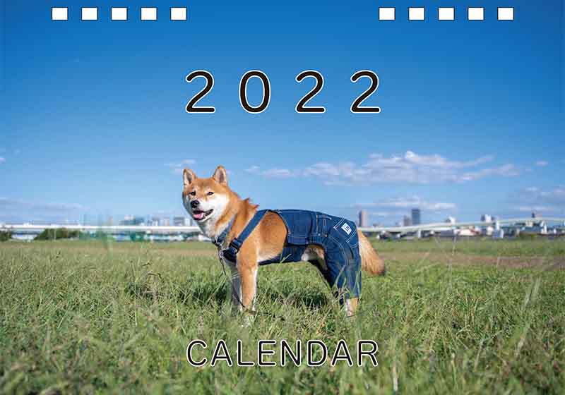ディテック株式会社 柴犬亜門さん2022年カレンダー 表紙
