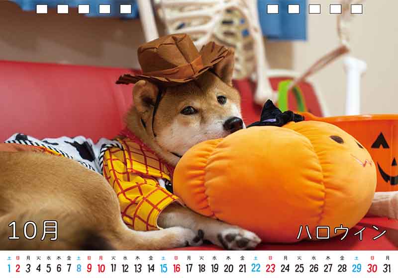 ディテック株式会社 柴犬亜門さん2022年カレンダー 10月