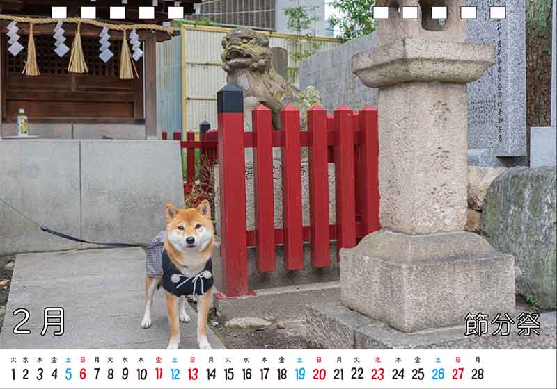 ディテック株式会社 柴犬亜門さん2022年カレンダー 2月