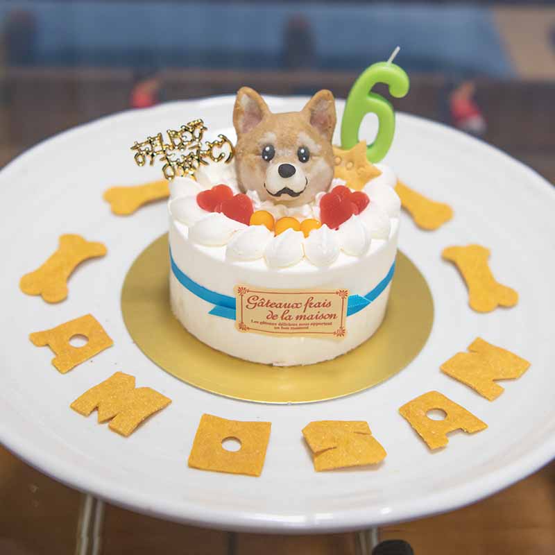 お誕生日ケーキ(犬用ケーキ)　アトリエワフ