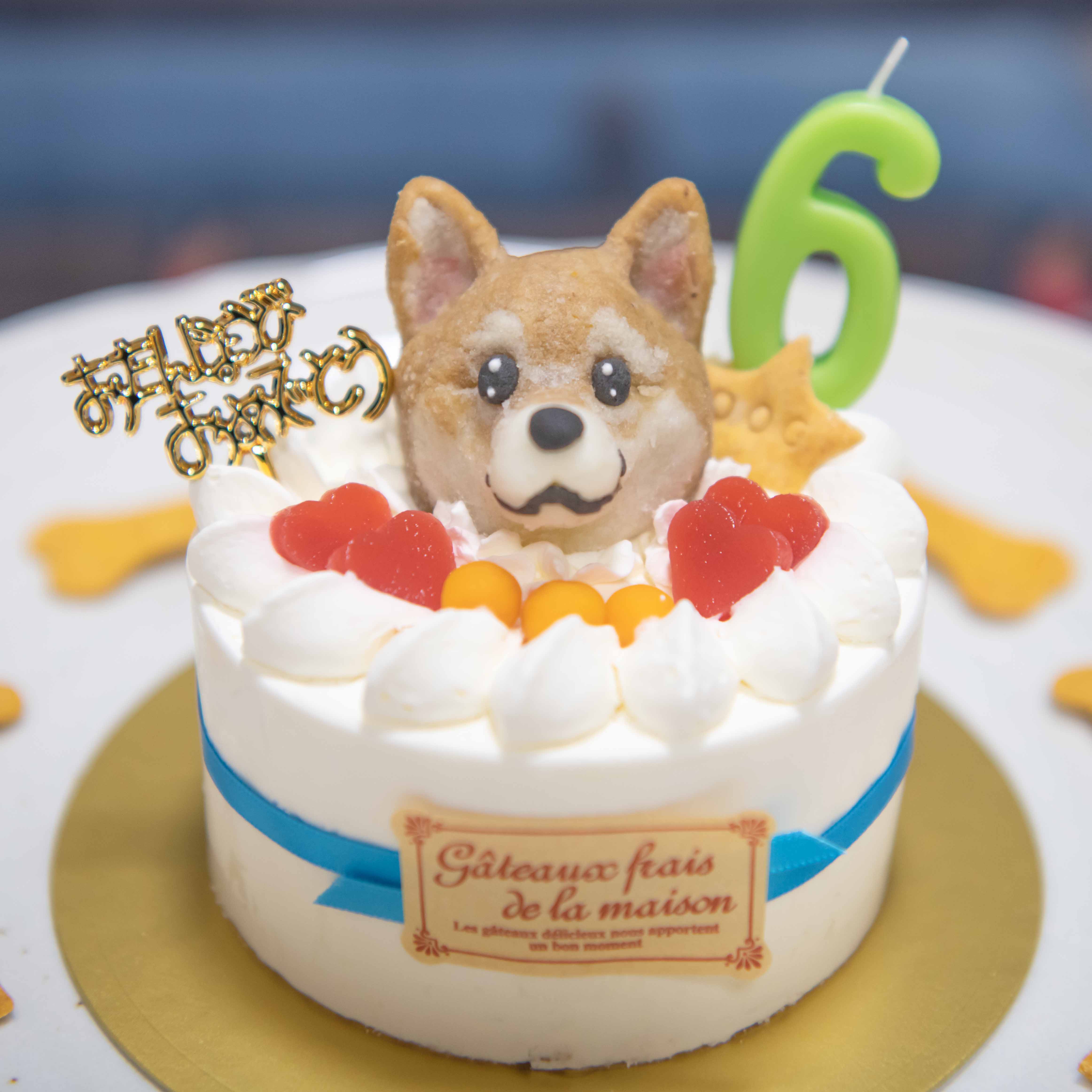 お誕生日ケーキ(犬用ケーキ)　アトリエワフ