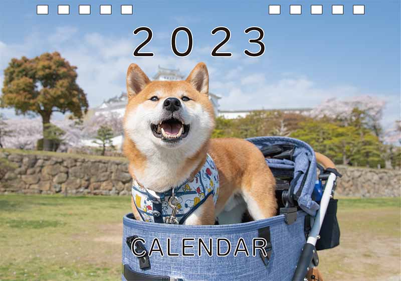 ディテック株式会社 柴犬亜門さん2023年カレンダー 表紙