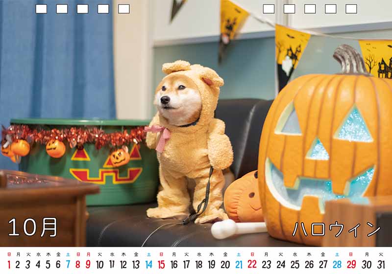 ディテック株式会社 柴犬亜門さん2023年カレンダー 10月