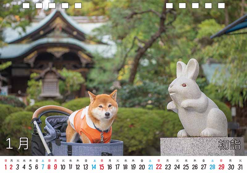 ディテック株式会社 柴犬亜門さん2023年カレンダー 1月