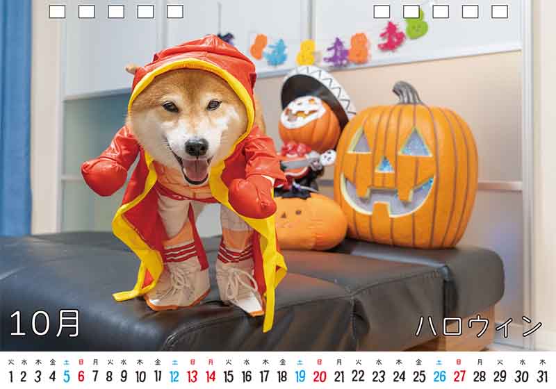 ディテック株式会社 柴犬亜門さん2024年カレンダー 10月