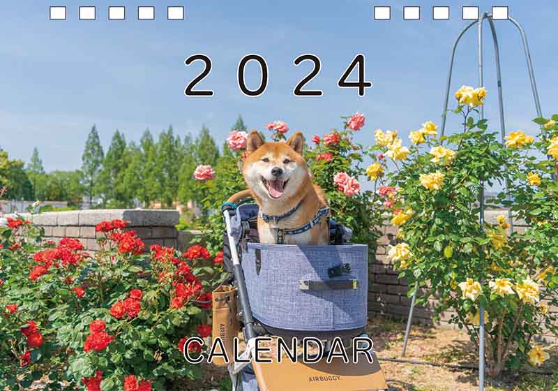 ディテック株式会社 柴犬亜門さん2024年カレンダー 表紙形