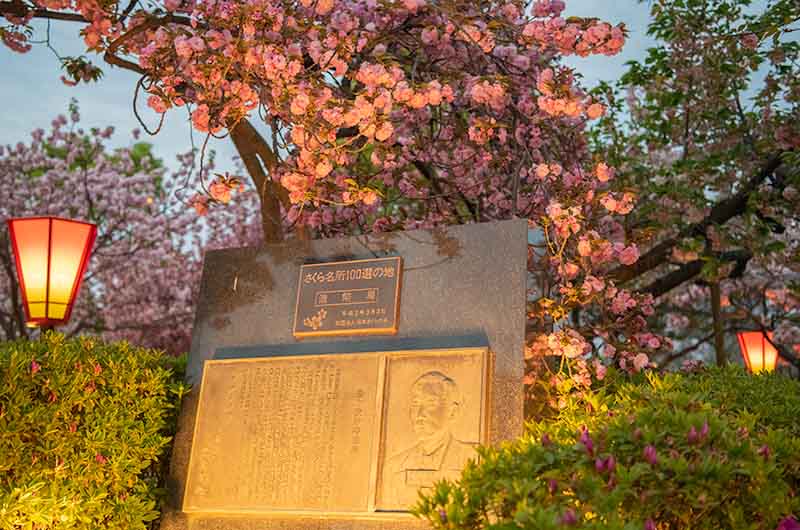 造幣局の桜の通り抜け 桜名所100選記念碑