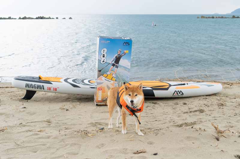 アクアマリーナのSUP　LOGOSの犬用ライフジャケット