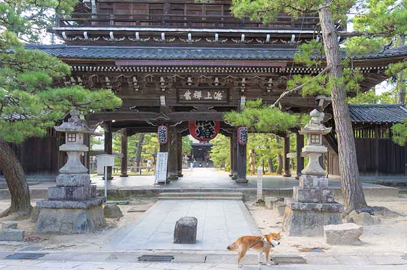 天橋立知恩寺