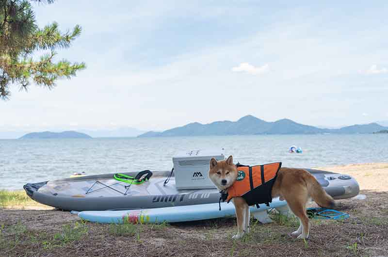 琵琶湖 SUP サーフィン