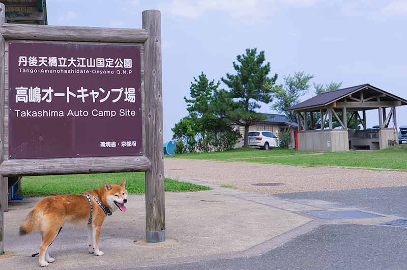 高嶋オートキャンプ場 柴犬亜門さん