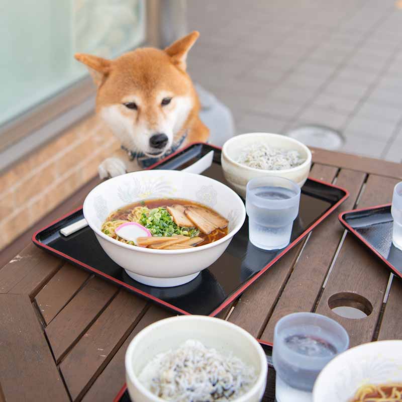 和歌山名物 和歌山ラーメン