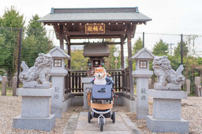 姫嶋神社 元楯社