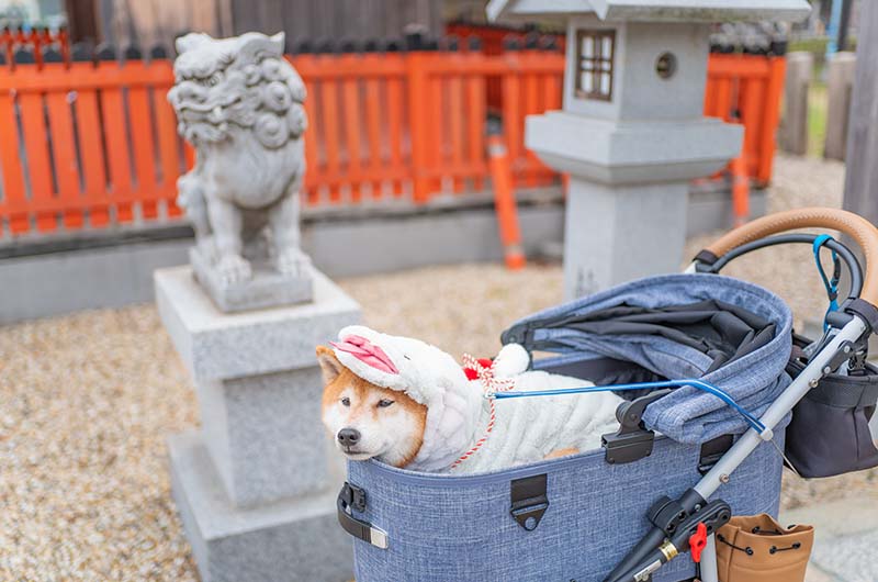 姫嶋神社 元楯社