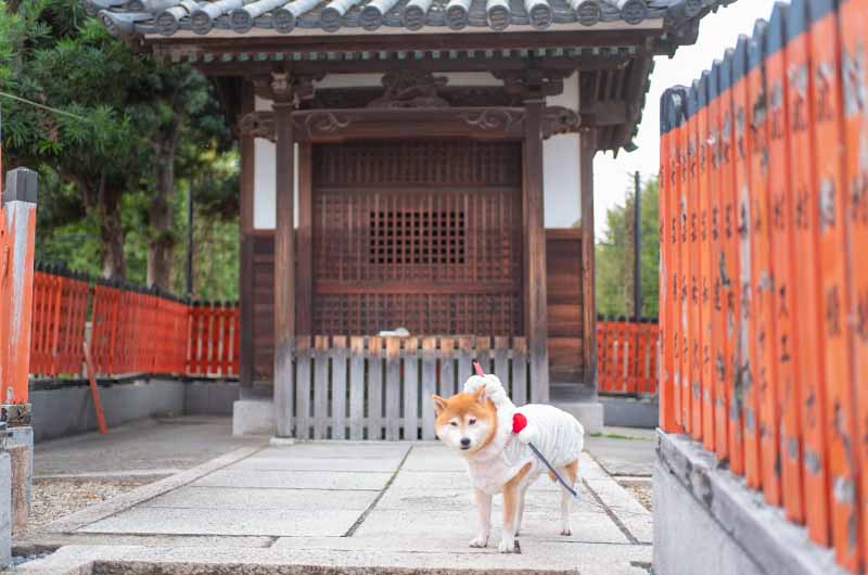 姫嶋神社 玉榮稲荷神社