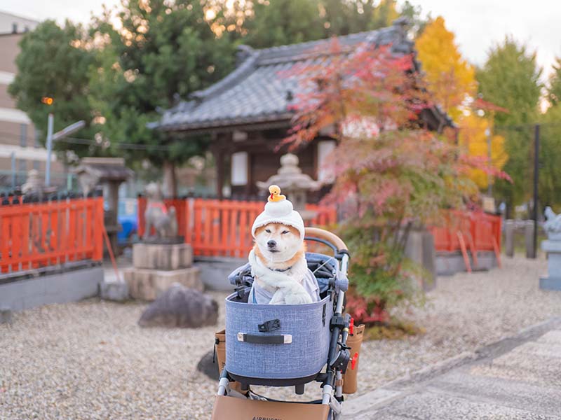 姫嶋神社 玉榮稲荷神社