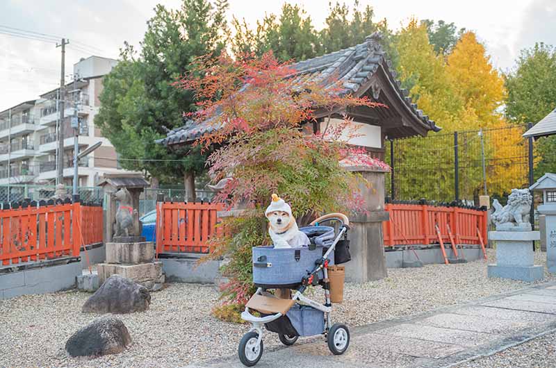 姫嶋神社 玉榮稲荷神社