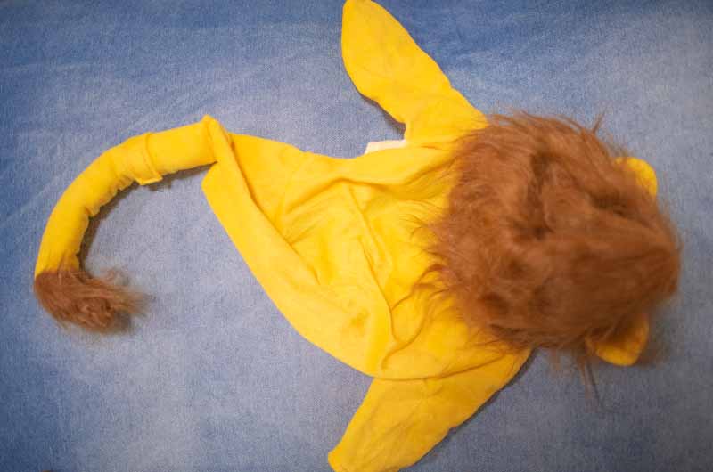 rubies dog costumeライオンキング シンバ 犬コスプレ衣装