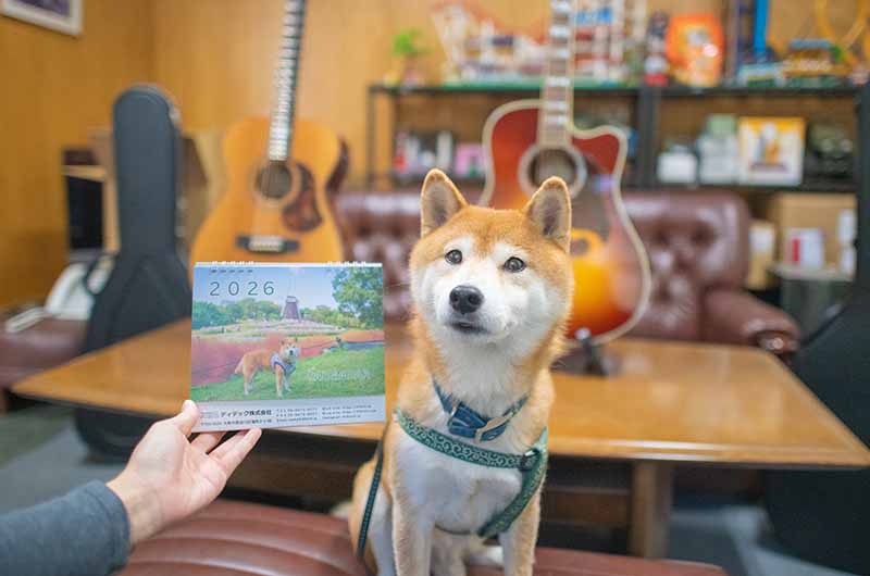 カレンダーとモデルの柴犬亜門さん