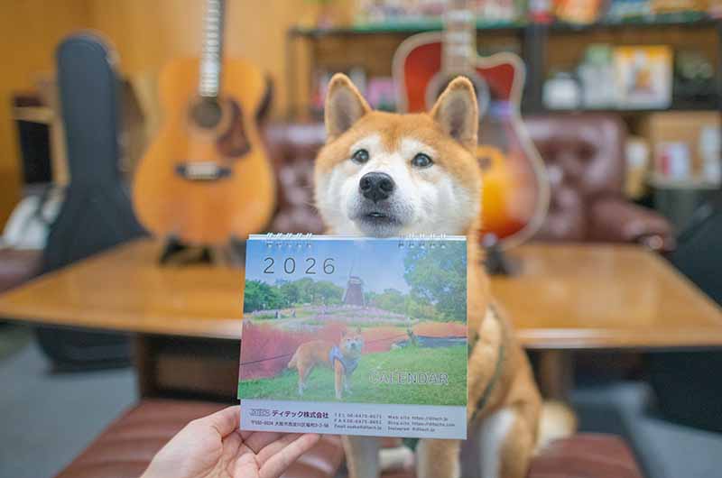 カレンダーとモデルの柴犬亜門さん