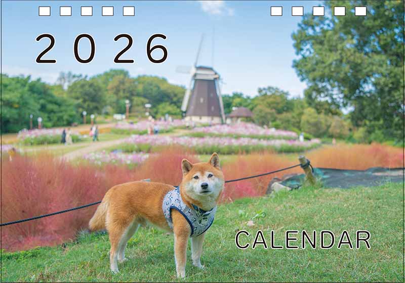 柴犬亜門さんカレンダー2026　表紙