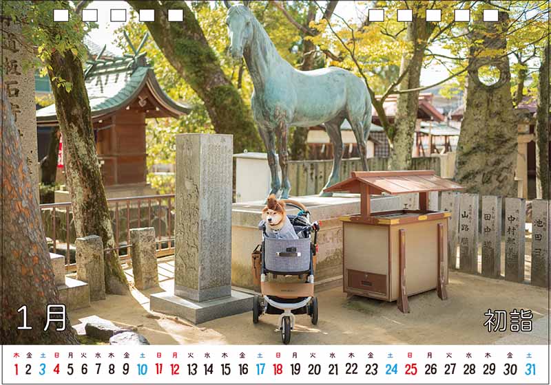 柴犬亜門さんカレンダー2026 1月