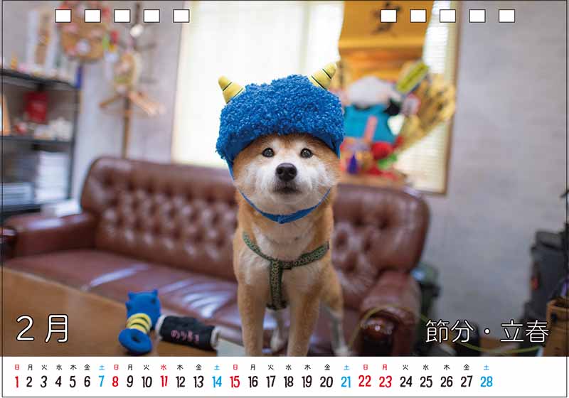 柴犬亜門さんカレンダー2026 2月