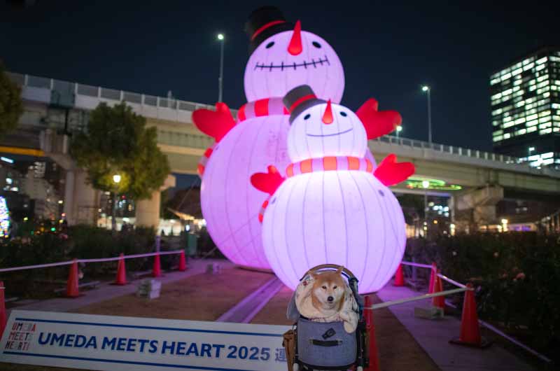 BIGスノーマンと柴犬亜門さん
