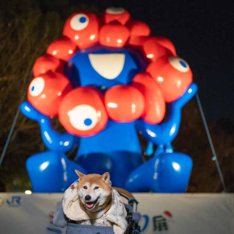 バルーンミャクミャクと柴犬亜門さん