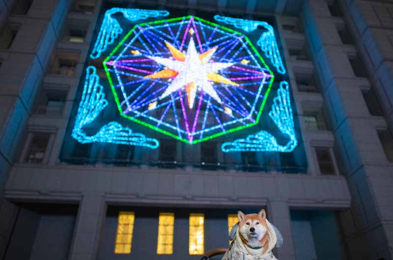 大阪市役所正面イルミネーションファサードと柴犬亜門さん