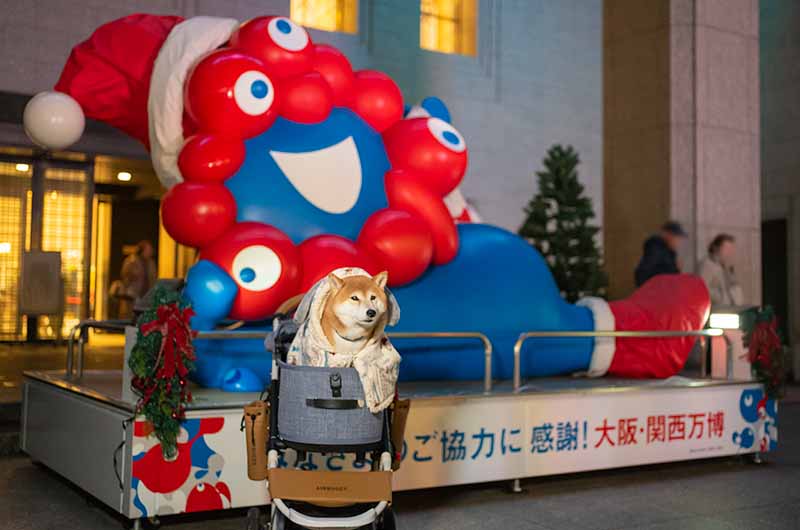 EXPO2025 大阪関西万博 マスコットキャラ ミャクミャク