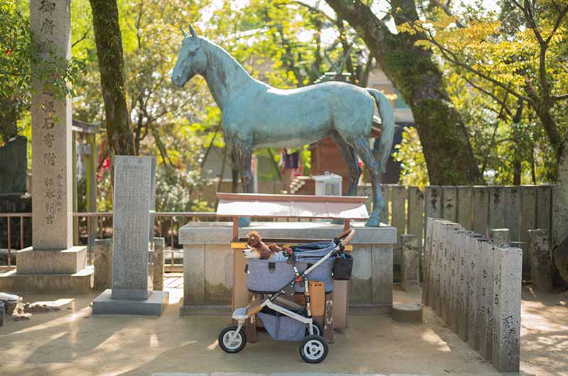 神馬像と柴犬亜門さん