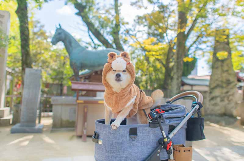 神馬像と馬の着ぐるみを着た柴犬亜門さん