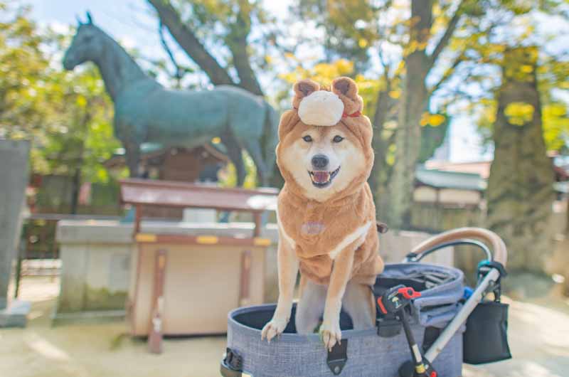 神馬像と馬の着ぐるみを着た柴犬亜門さん