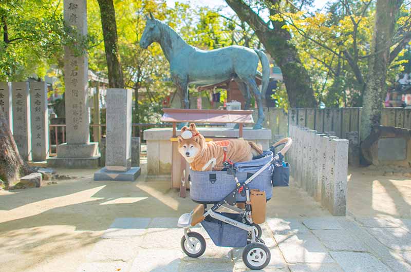 神馬像と馬の着ぐるみを着た柴犬亜門さん