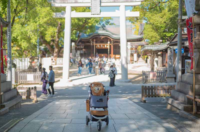 三之鳥居と柴犬亜門さん