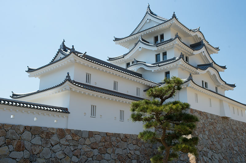 尼崎城と松の木