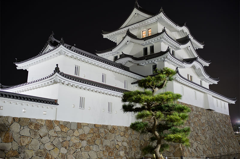夜の尼崎城と松の木