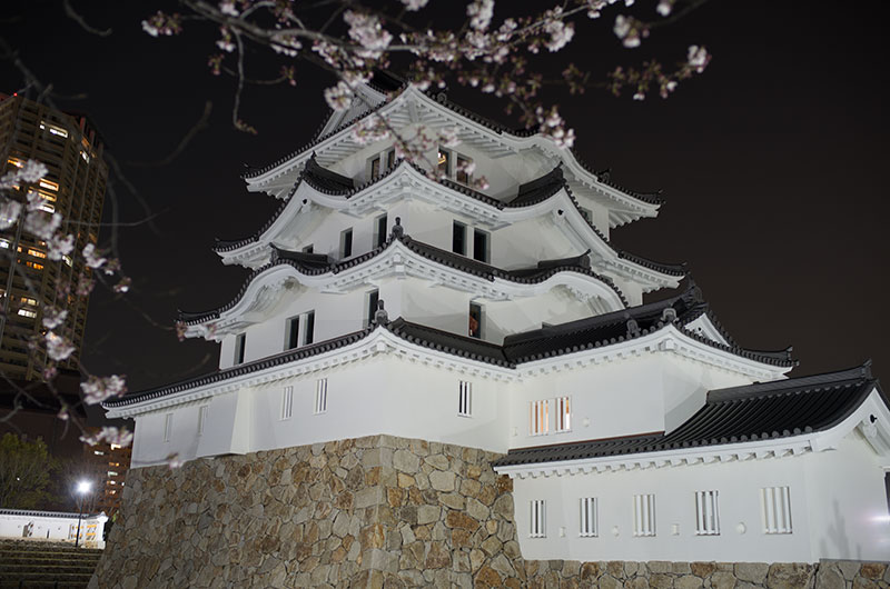 夜の尼崎城と桜