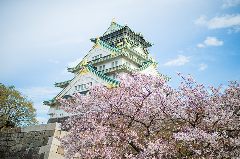 山里口出枡形から見た大阪城天守と見事な桜