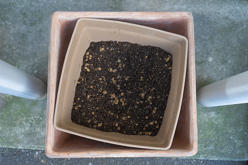 樹脂製の植木鉢と腐葉土