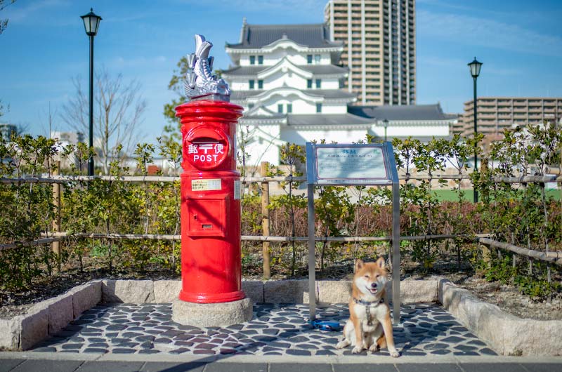 尼崎城の前のシャチホコポストと柴犬亜門さん