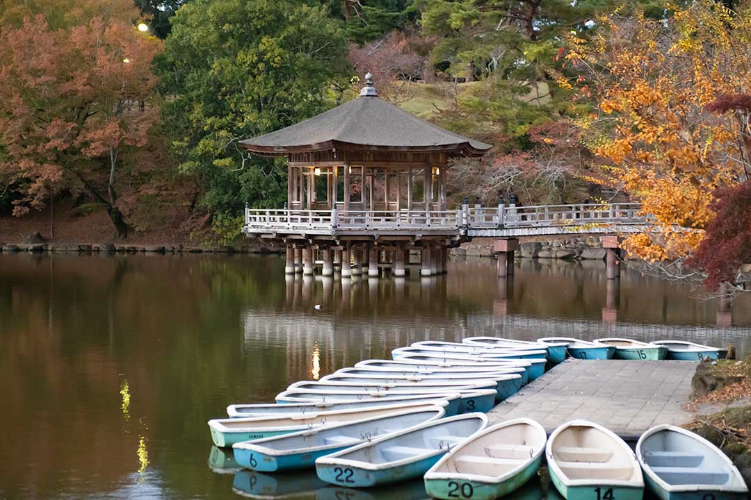 奈良公園　浮見堂(うきみどう)周辺の紅葉
