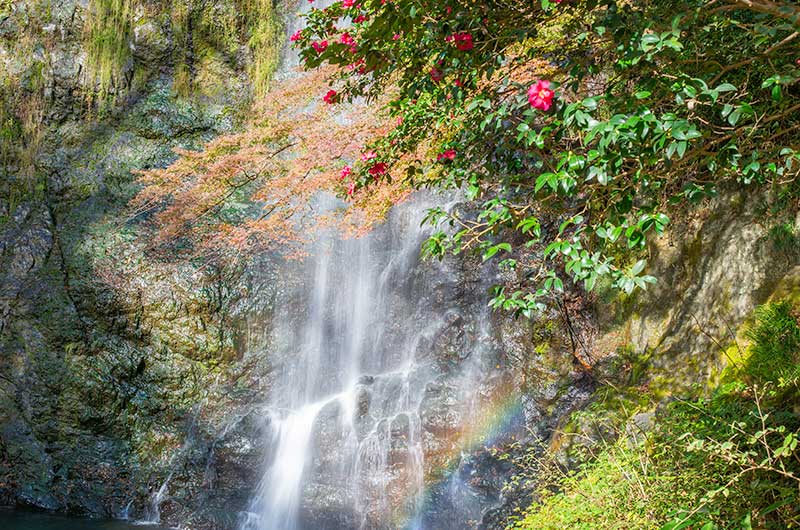 虹がかかった箕面の滝(箕面大滝)