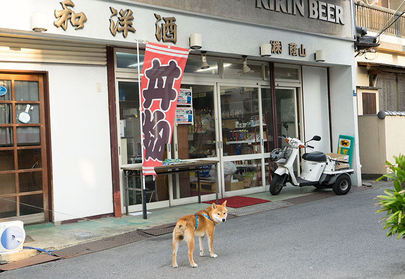 Stand-and-drink bar and Amo-san