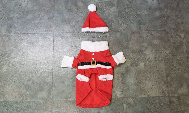 Santa Claus costume for dogs