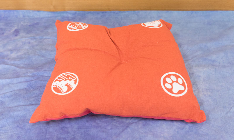 Cushion in orange color for pets.