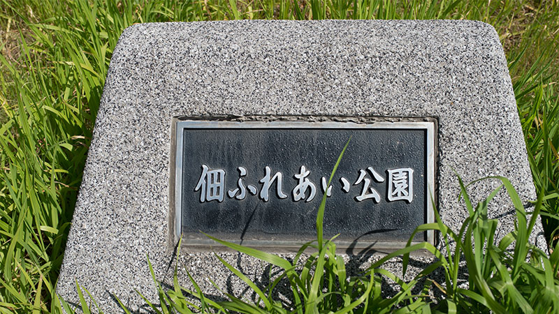 Cherry blossoms in Tsukuda Fureai Park