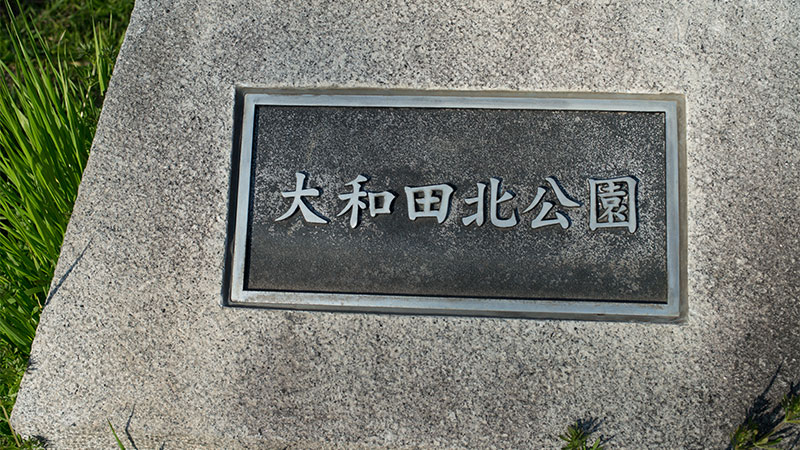 Cherry blossoms in Ohwada North Park